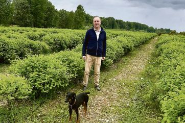 Attēls rakstam: "Lauberes ogu" saimnieks Aleksejs Fomičevs un viņa divas desmitgades melleņu valstībā