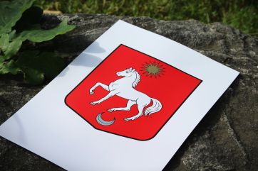 Attēls rakstam: Kā jaunajam Tīnūžu ģerbonim kļūt par ikdienas simbolu? Aicina uz diskusiju