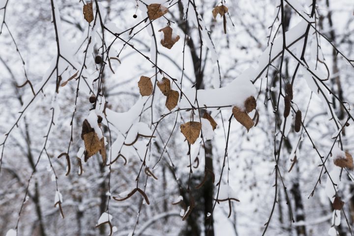 Laikapstākļi šajā dienā vēsturē: 30.septembris. 2013. gadā Ogres apkaimē fiksēja sniegpārslu parādīšanos