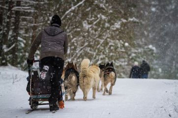 Attēls rakstam: “Te pajūgs, tur slēpotāji, te zirgi...” Ogrēnieši nikni par ierobežojumiem Ogres Zilajos kalnos