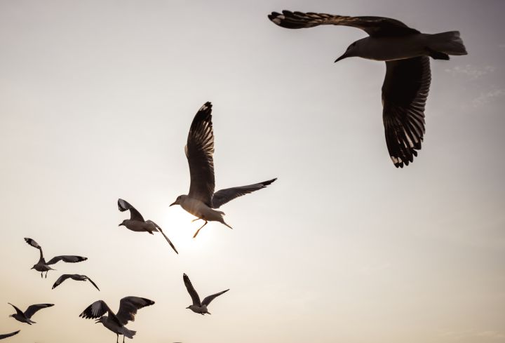 Nedēļas vidū gaidāma meteoroloģiskā rudens sākšanās