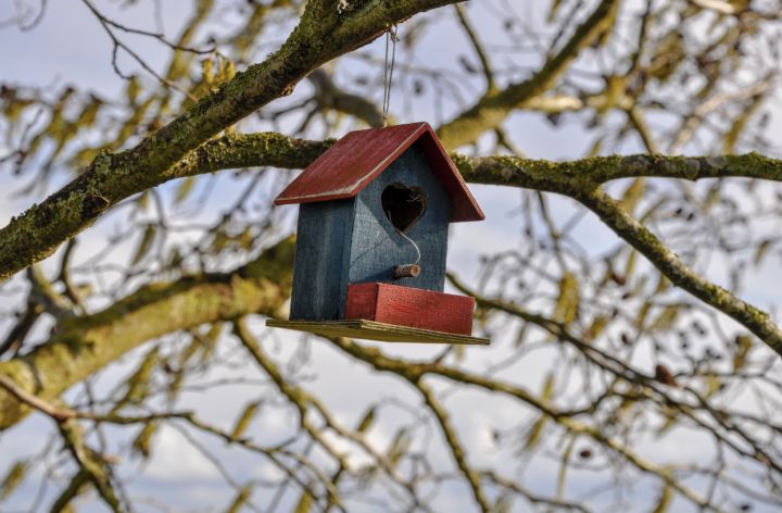 Skolēniem iespēja piedalīties putnu būrīšu izgatavošanā