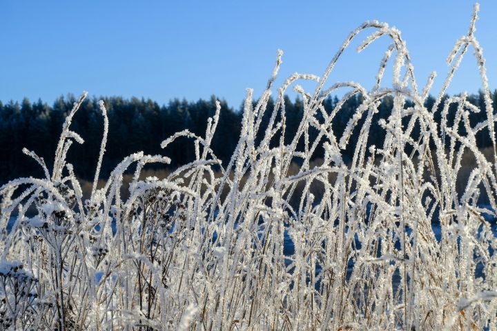 Tuvākajās naktīs atgriezīsies lielāks sals