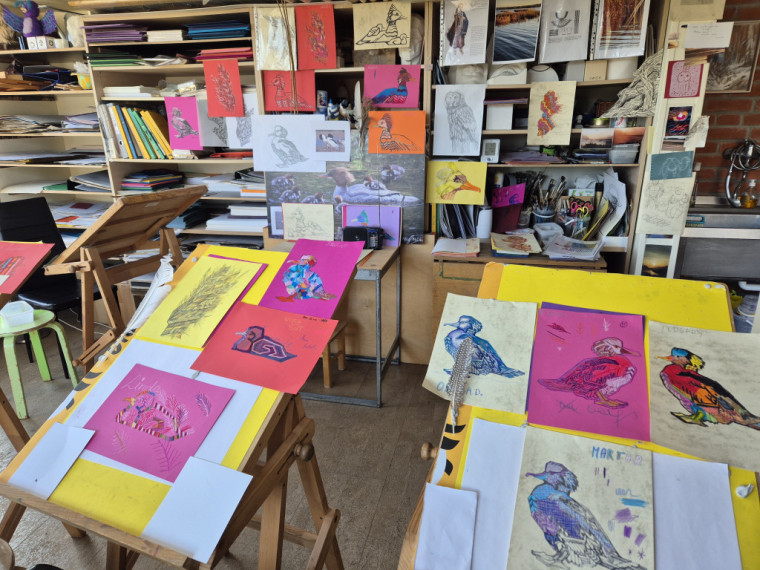 Daugava vieno – mākslā, stāstos un cilvēkos