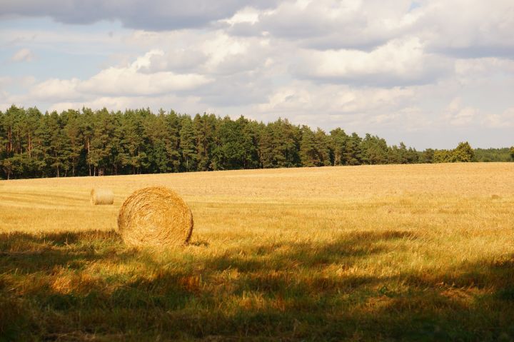 Trešdien nav gaidāmi lieli nokrišņi
