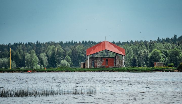 Savvaļas putnu ligzdošanas dēļ, aicina nedoties uz Svētā Meinarda salu Daugavā