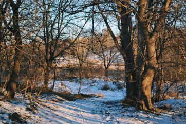 Attēls rakstam: Otrajos Ziemassvētkos daudzviet uzspīdēs saule