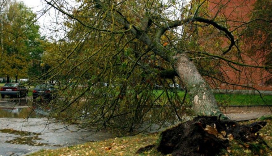 Valdība sniedz atbalstu Ogres novada pašvaldībai vētru radīto zaudējumu segšanai teju 40 000 eiro apmērā