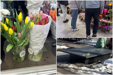 Attēls rakstam: FOTO. Tulpes, rosība un tukši ziedu plaukti: mirkļi no 8. marta Ogrē