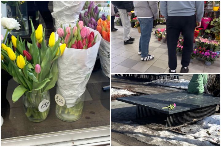 FOTO. Tulpes, rosība un tukši ziedu plaukti: mirkļi no 8. marta Ogrē