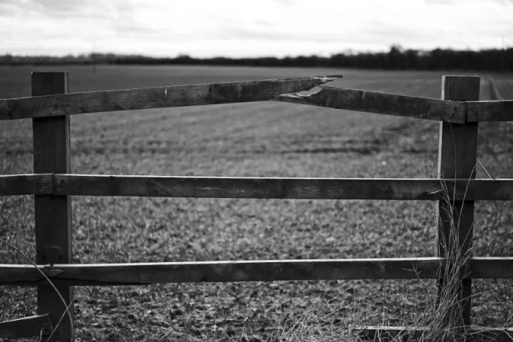 Voldemārs Lauciņš: Pirmslieldienu laikam vispiemērotākie jautājumi