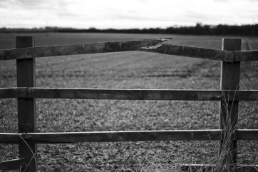 Attēls rakstam: Voldemārs Lauciņš: Pirmslieldienu laikam vispiemērotākie jautājumi