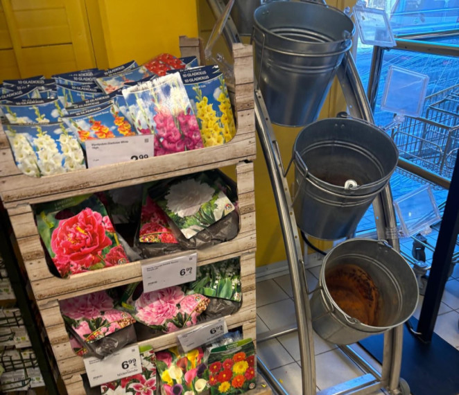 FOTO. Tulpes, rosība un tukši ziedu plaukti: mirkļi no 8. marta Ogrē