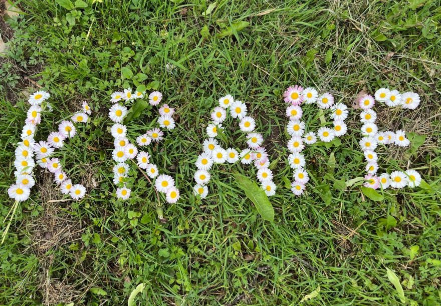 Spēļu vakars komandām "Zinu savu Krapi"