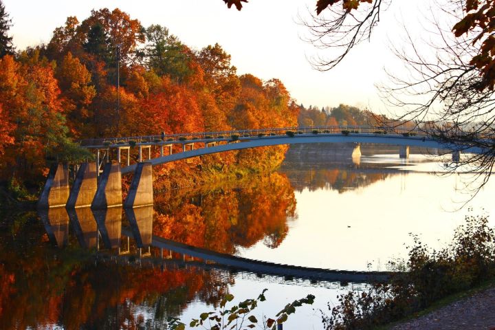 Nacionālā kultūras mantojuma pārvalde konkursā meklē Zemgales reģionālās nodaļas vadītāju
