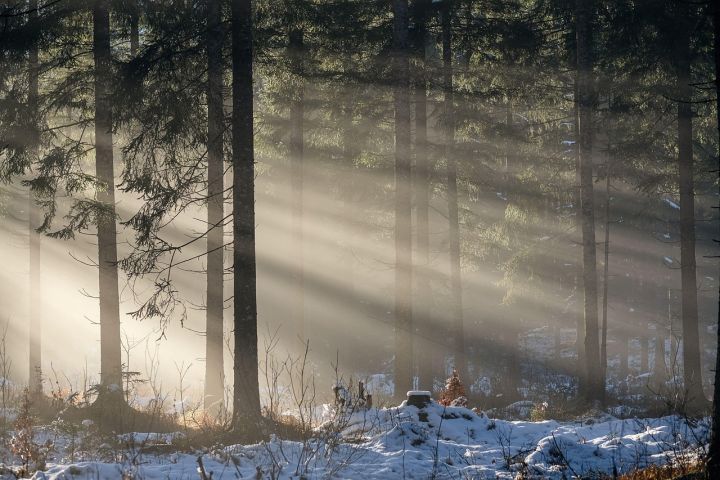 Pirmdiena būs vēsa un saulaina