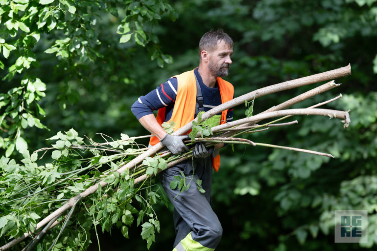 FOTO: J. Čakstes prospektā notikusi talka – informatīvais seminārs invazīvo sugu izplatības ierobežošanai