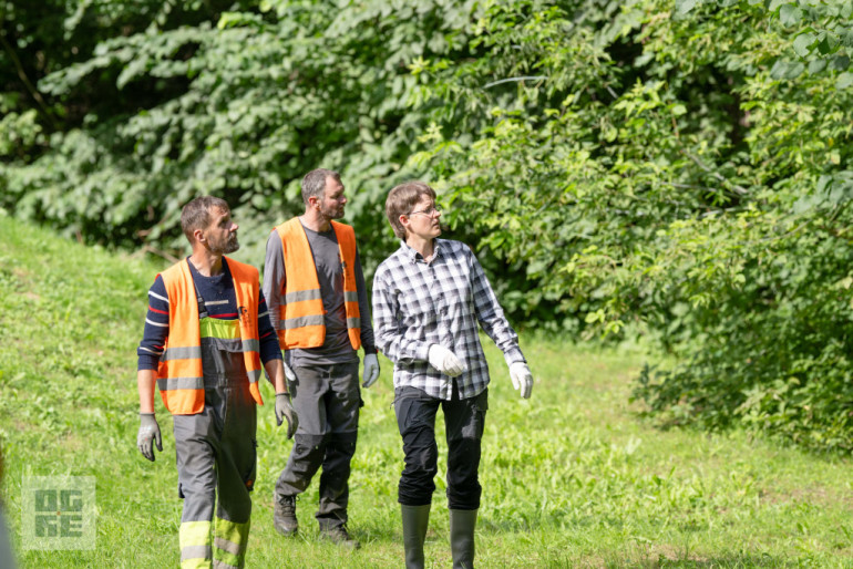 FOTO: J. Čakstes prospektā notikusi talka – informatīvais seminārs invazīvo sugu izplatības ierobežošanai
