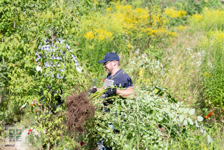 FOTO: J. Čakstes prospektā notikusi talka – informatīvais seminārs invazīvo sugu izplatības ierobežošanai