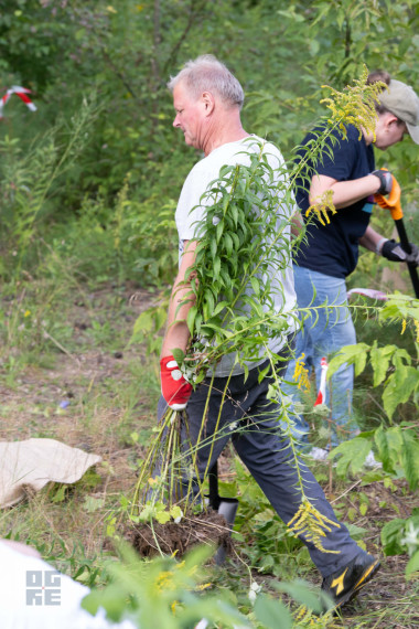 FOTO: J. Čakstes prospektā notikusi talka – informatīvais seminārs invazīvo sugu izplatības ierobežošanai