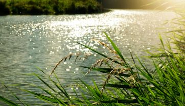 Attēls rakstam: Nedēļa sāksies ar vasarīgi karstu dienu
