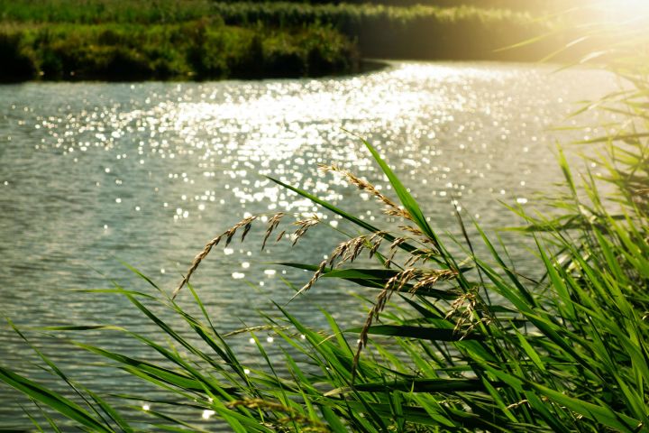 Nedēļa sāksies ar vasarīgi karstu dienu