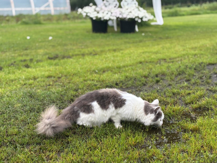 FOTO: Miera oāze rokas stiepiena attālumā – OgreNet viesojas krāšņajās "Lavandu Lejās"