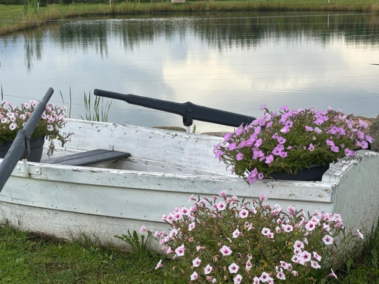 FOTO: Miera oāze rokas stiepiena attālumā – OgreNet viesojas krāšņajās "Lavandu Lejās"
