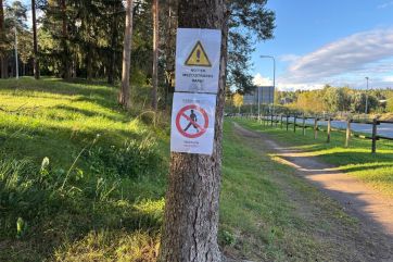 Attēls rakstam: Kas notiek Ogres Zilajos kalnos?