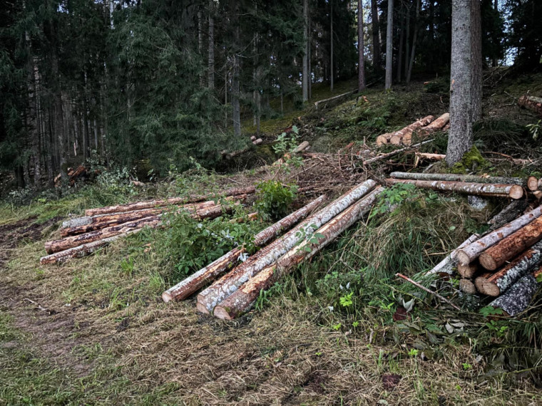 Kas notiek Ogres Zilajos kalnos?