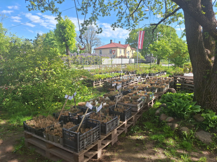 Augi paši ‘pasaka’, kā tiem trūkst